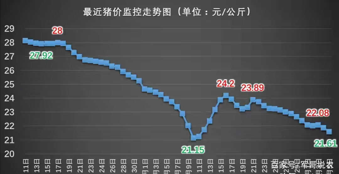 最新豬價(jià)行情分析