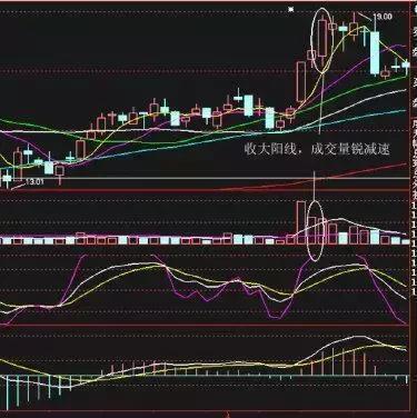 最新牛散持股一覽表，揭示市場主力動向