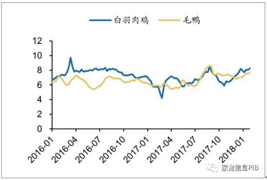 今日雞蛋價(jià)格最新行情分析