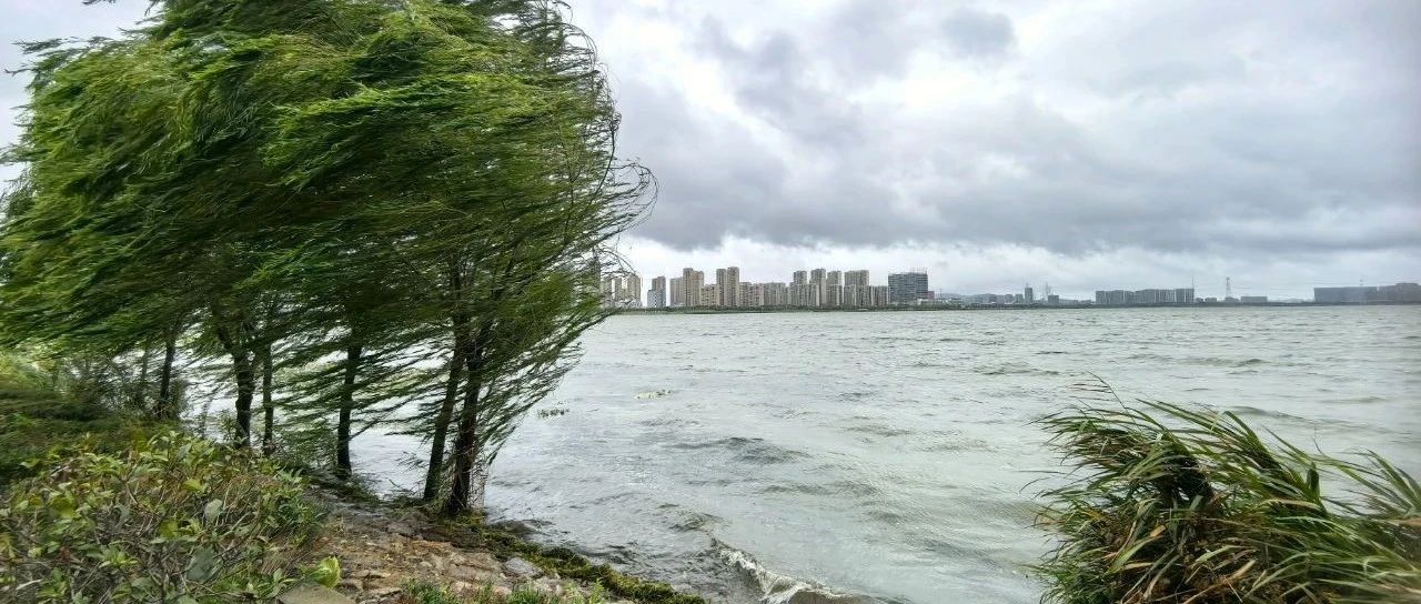 蘇州今天臺風最新消息，風雨中的城市動態(tài)與應對措施