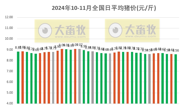 今天豬最新價(jià)格——市場走勢分析